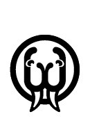 Walrus