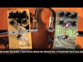 Catalinbread Echorec and Belle Epoch